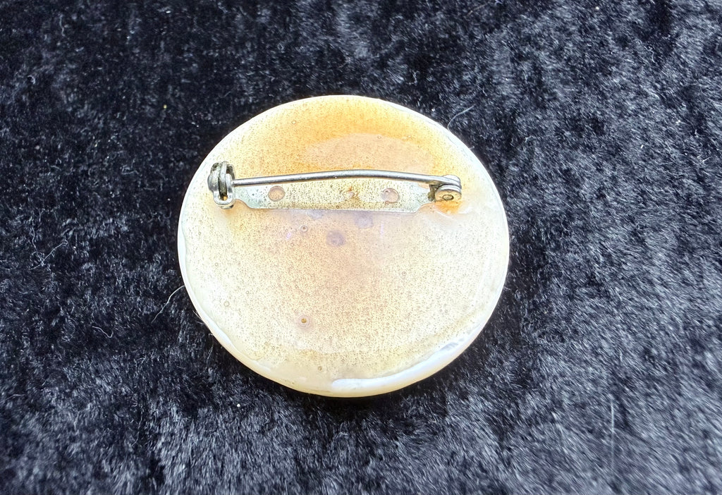 Antique Mother of Pearl Pin