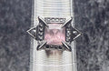 Black Square Crystal Ring